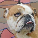 Fiona