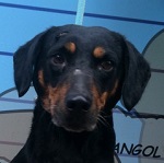 ProActiv (Alad&aacute;r)