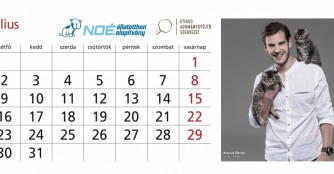 Die NOÉ Kalender 2018 sind da! 