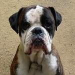 H&oacute;d&iacute;t&oacute; - reserviert 