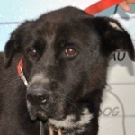 Aj&aacute;nd&eacute;k