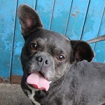 Asley Olsen - RESERVIERT