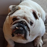 Benny Hill - RESERVIERT