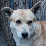 Bl&ouml;ff - RESERVIERT