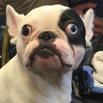 Daredevil - RESERVIERT