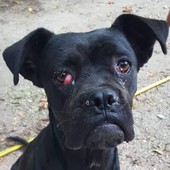 Dudinka - RESERVIERT