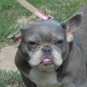 Fiorella - RESERVIERT