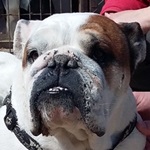 Tutti Frutti - RESERVIERT