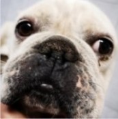 F&uuml;ge - RESERVIERT