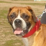 F&uuml;z&eacute;r - reserviert