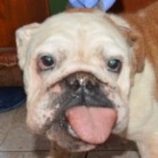 Glitter - RESERVIERT