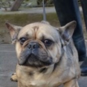 Hern&aacute;di Vilmos