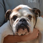 Kőb&aacute;nya Blues