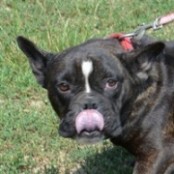 Ludmilla - RESERVIERT