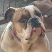 M&aacute;sa - RESERVIERT