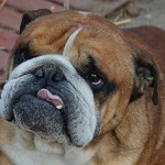 Newcastle - RESERVIERT