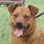 Par&aacute;zs - RESERVIERT!