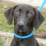 P&aacute;rduc - reserviert