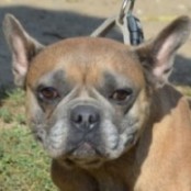 Parmez&aacute;n - RESERVIERT