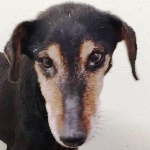 Textina - RESERVIERT