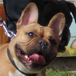 Vin Diesel - RESERVIERT!