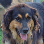 Barn csal&aacute;d Zeby - RESERVIERT