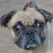 Zo&eacute;mi - RESERVIERT