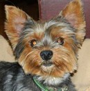 Zs&oacute;fia - RESERVIERT