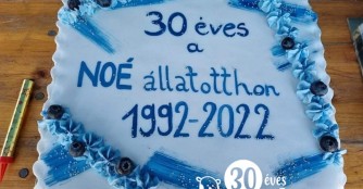 30. Geburtstag von NOÉ :)