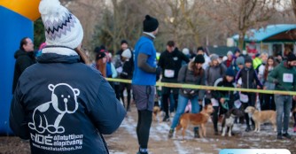 Die sch&ouml;nsten Bilder des NO&Eacute; Neujahrslauf 2026