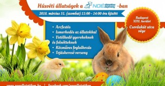 Tierische Ostern im NOAH Tierheim Ungarn