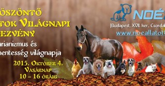Welttiertagsfeier im NOAH Tierheim Ungarn